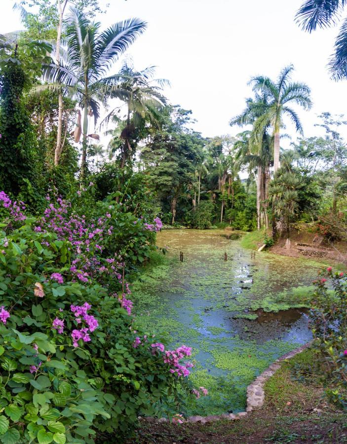 Casa De Pedra Estalagem 3*